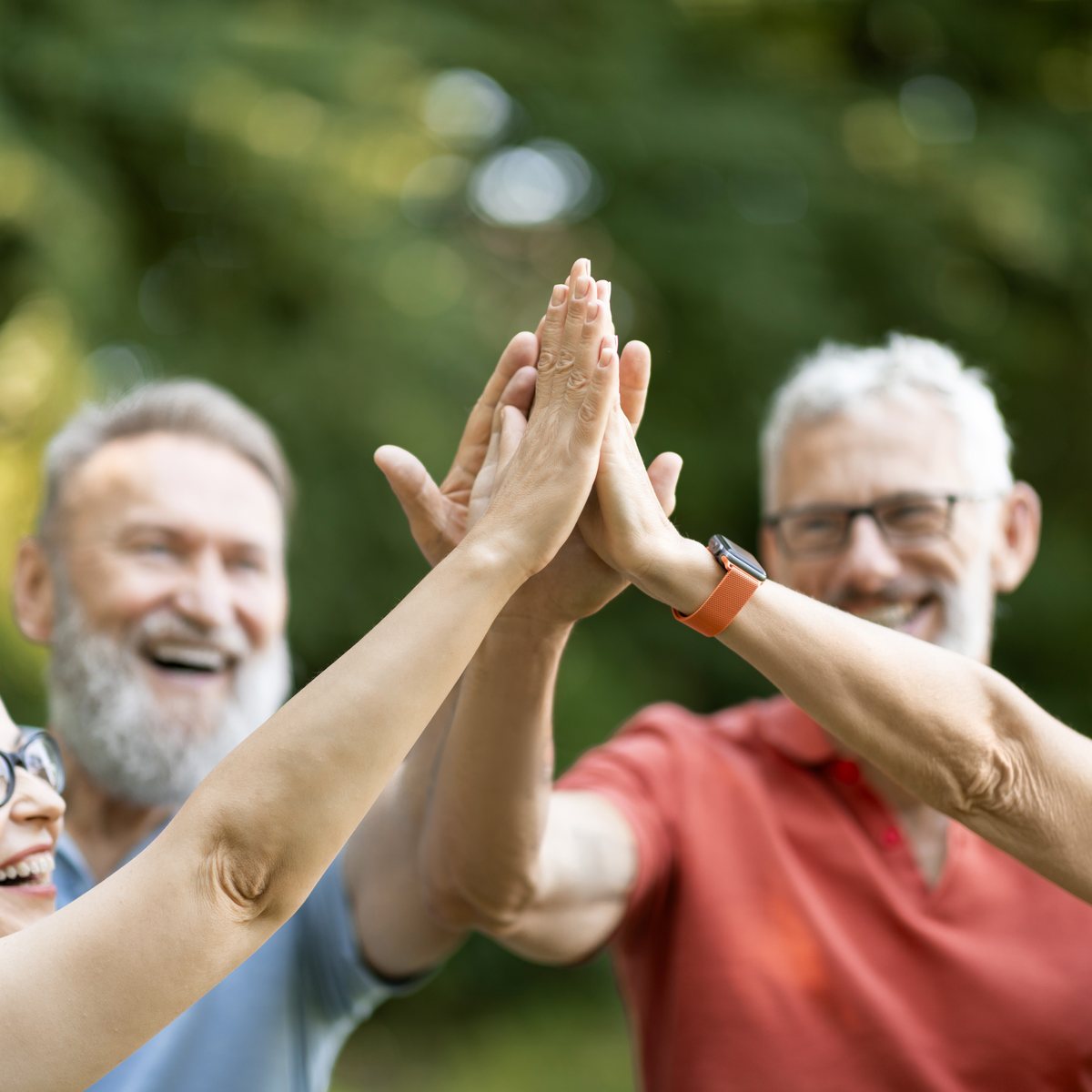 Vier lachende Menschen geben sich im Grünen ein gemeinsames High Five